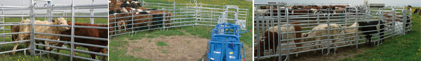 balken-corrals.jpg