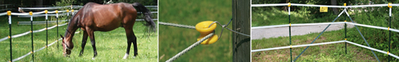 balken-pasture-fencing.jpg