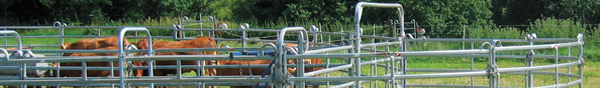 balken-swinging-gates.jpg