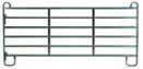 p12.jpg