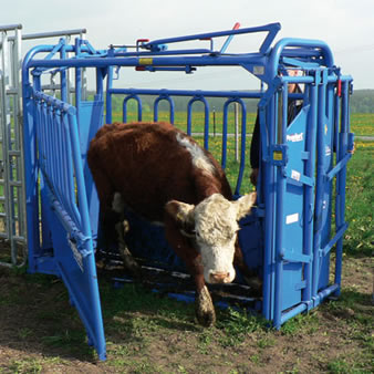 squeeze-chute.jpg